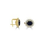 Load image into Gallery viewer, Diana design earrings-B05260
