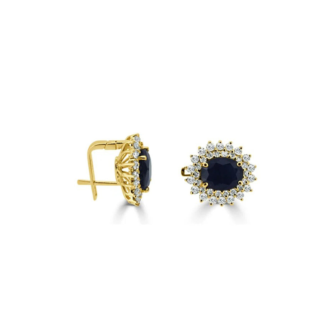 Diana design earrings-B05260