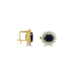 Load image into Gallery viewer, Diana design earrings-B05260
