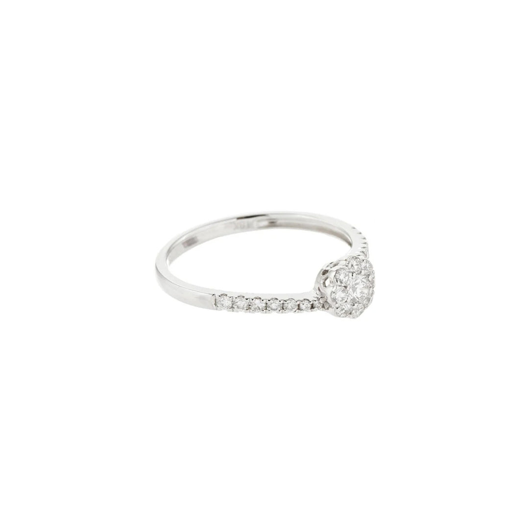 "My Dream Ring"