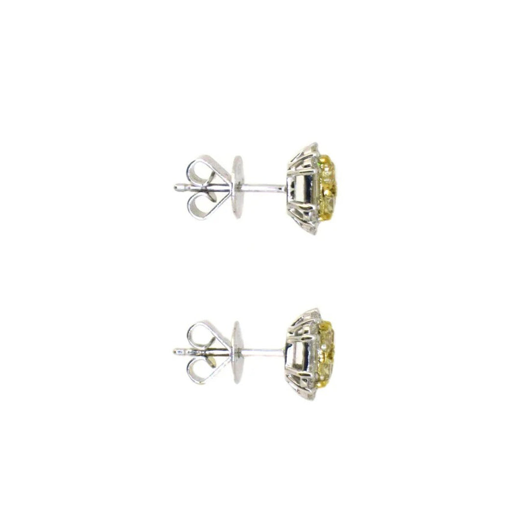Fancy yellow Diamond studs